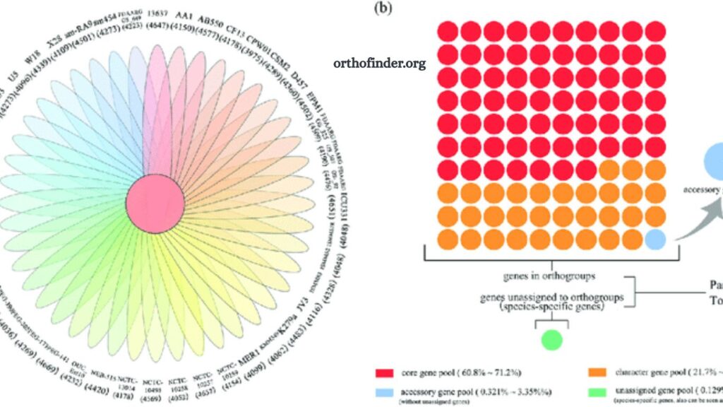 Genomics