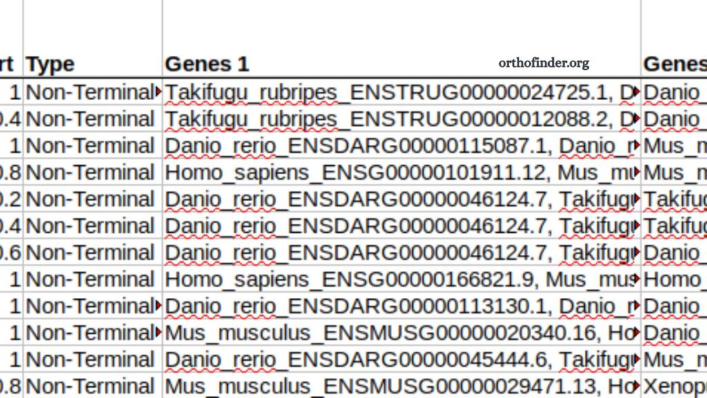 OrthoFinder Result